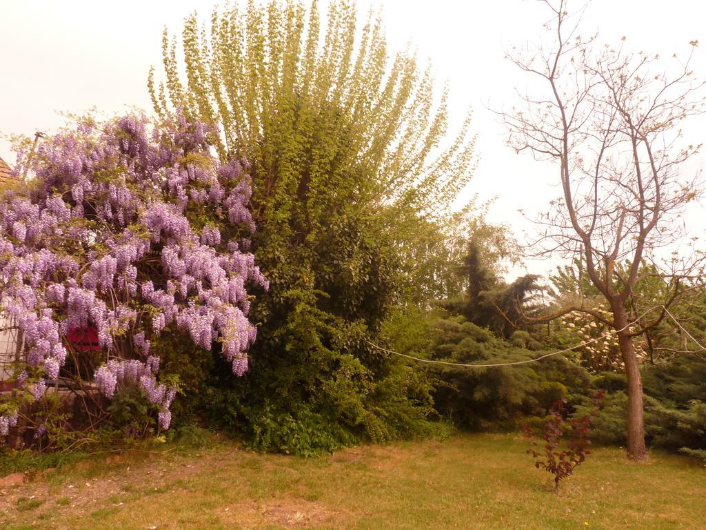 Dobo Tanya Villa Roszke ภายนอก รูปภาพ