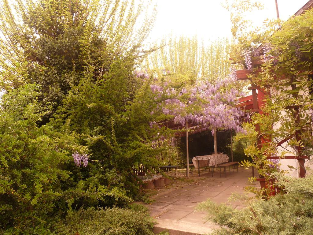 Dobo Tanya Villa Roszke ภายนอก รูปภาพ