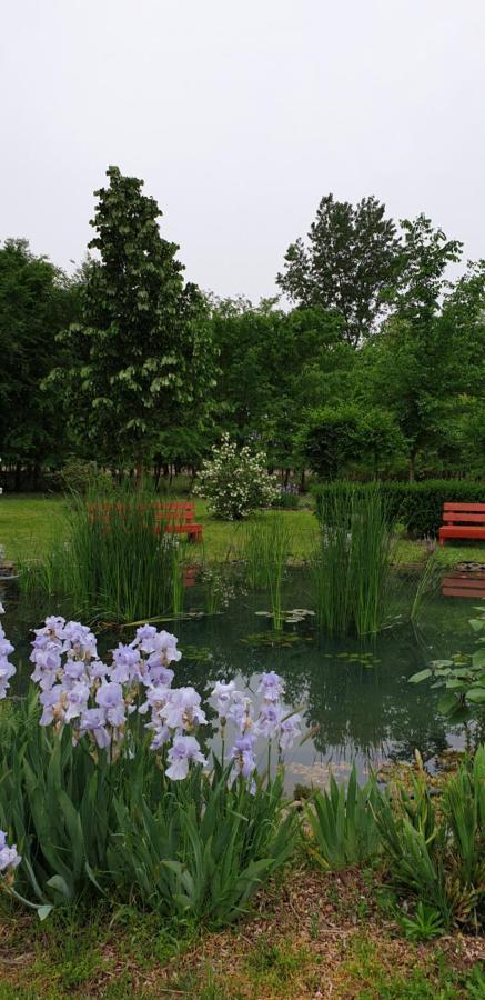 Dobo Tanya Villa Roszke ภายนอก รูปภาพ